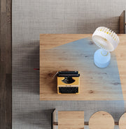 explosion desktop fan can shake the head handheld mini fan portable accompanying USB charging OEM OEM